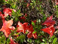 2011-06-14_17-59-32_0095