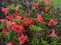 2011-06-15_07-53-27_0052