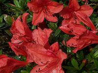 24-06-05kodak_239