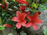 29-06-2006_13-08-54_128