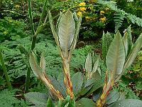 24-05-2007_14-14-14_62
