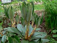 24-05-2007_14-14-25_65
