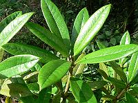 03-07-2007_17-35-46_52