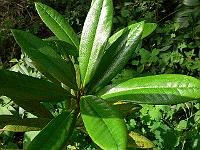 03-07-2007_17-35-58_55