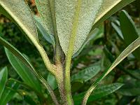 10-07-2007_16-19-21_40