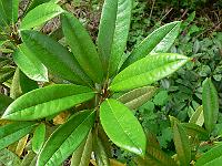 10-07-2007_17-37-35_13