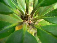 10-07-2007_17-37-54_18