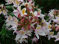 16-06-2006_18-18-26_09