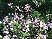18-06-05kodak_534