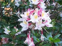 18-06-05kodak_587
