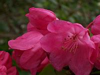 07-05-05kodak_126