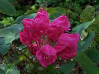 12-05-05kodak_035