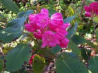 13-05-05kodak_050