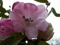 13-04-05kodak_009