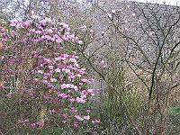 18-04-05kodak_002