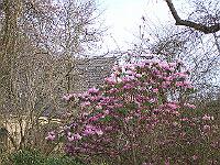 18-04-05kodak_070