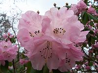 18-04-05kodak_108