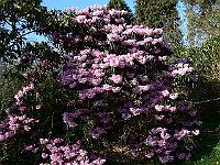 2011-04-11_15-49-41_0055