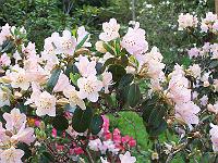 16-05-05kodak_033