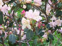 16-05-05kodak_036