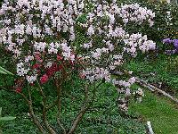 18-05-2006_20-29-18_181