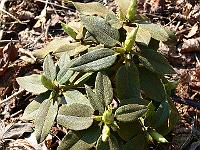 08-05-2006_11-17-20_123