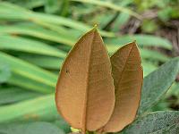 20-09-2006_16-42-43_07