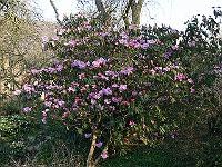 02-04-2007_09-50-32_45