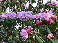 02-04-2007_09-50-56_51