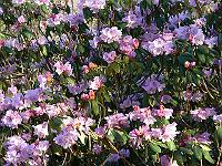 06-04-2007_08-58-42_26