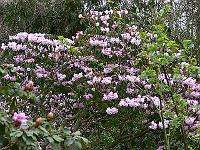 08-04-2007_09-31-09_29