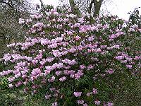 08-04-2007_09-31-33_35