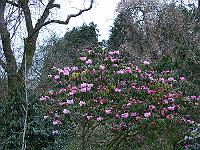 20-04-2006_07-05-56_98