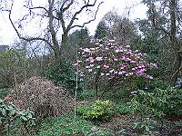 22-04-2006_07-13-45_58