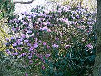 22-04-2006_19-40-47_147