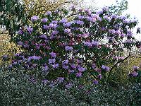 22-04-2006_19-40-51_148