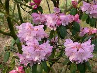 23-04-2006_09-12-15_113