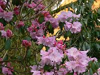 23-04-2006_09-12-41_120