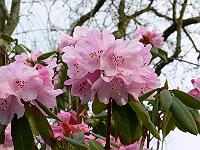 23-04-2006_09-14-07_143