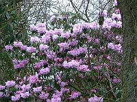 24-04-2006_07-54-42_79