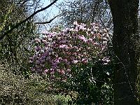 24-04-2006_15-18-06_77