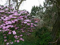 25-04-2006_08-43-41_181