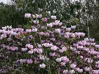 26-04-2006_11-08-36_131
