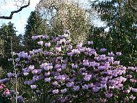 28-04-2006_09-12-06_47