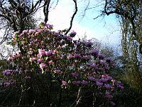 29-04-2006_07-40-21_159