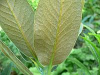 10-07-2007_16-21-25_72