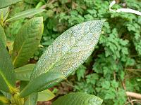 20-09-2006_15-05-05_26