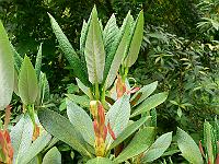 22-05-2007_14-05-41_56