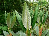 22-05-2007_14-05-56_60