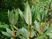 22-05-2007_14-06-07_63